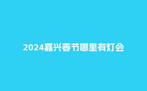 2024嘉兴春节哪里有灯会