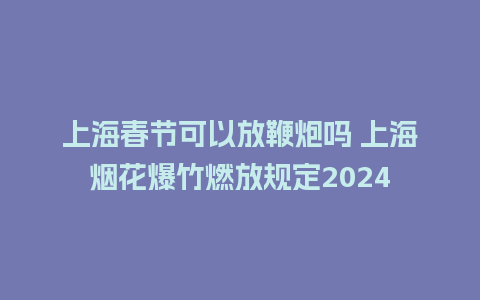 上海春节可以放鞭炮吗 上海烟花爆竹燃放规定2024