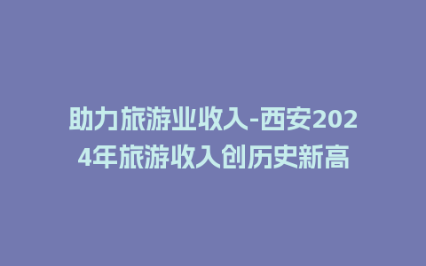 助力旅游业收入-西安2024年旅游收入创历史新高