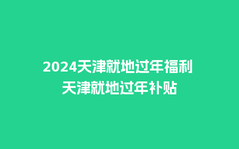 2024天津就地过年福利 天津就地过年补贴