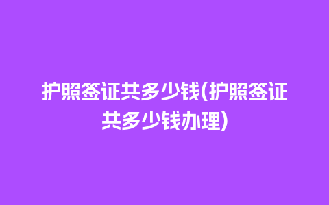 护照签证共多少钱(护照签证共多少钱办理)