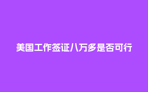 美国工作签证八万多是否可行