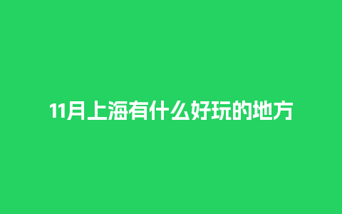 11月上海有什么好玩的地方