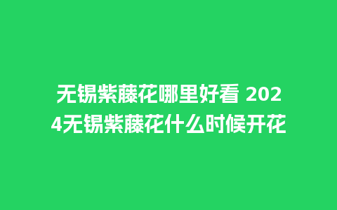 无锡紫藤花哪里好看 2024无锡紫藤花什么时候开花