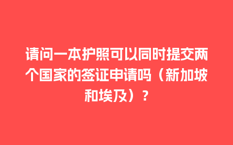 请问一本护照可以同时提交两个国家的签证申请吗（新加坡和埃及）？