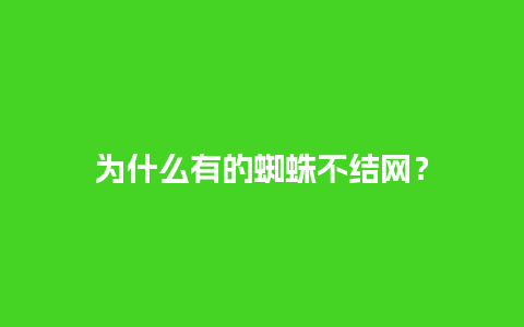 为什么有的蜘蛛不结网？