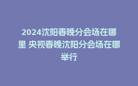 2024沈阳春晚分会场在哪里 央视春晚沈阳分会场在哪举行