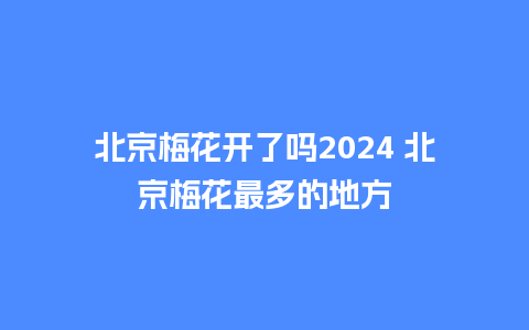 北京梅花开了吗2024 北京梅花最多的地方