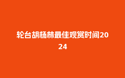 轮台胡杨林最佳观赏时间2024