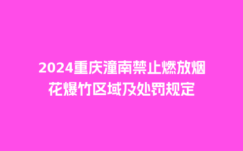 2024重庆潼南禁止燃放烟花爆竹区域及处罚规定