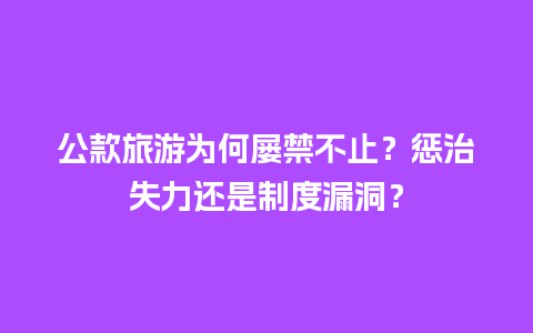 公款旅游为何屡禁不止？惩治失力还是制度漏洞？