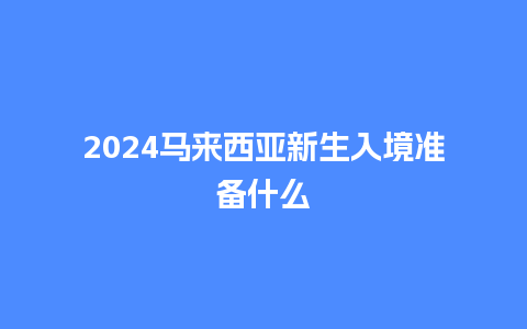 2024马来西亚新生入境准备什么