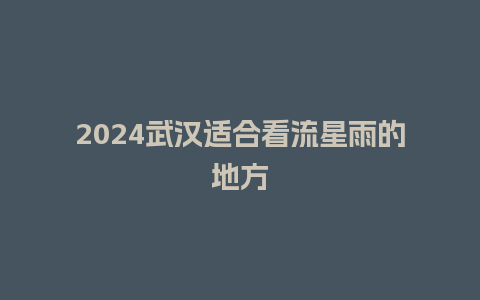 2024武汉适合看流星雨的地方