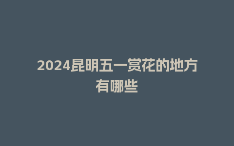 2024昆明五一赏花的地方有哪些