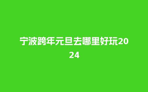 宁波跨年元旦去哪里好玩2024