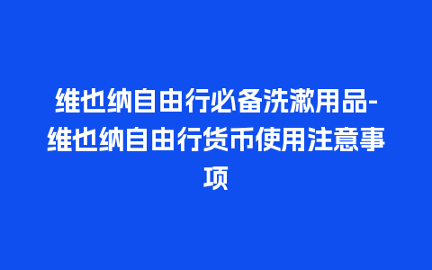 维也纳自由行必备洗漱用品-维也纳自由行货币使用注意事项