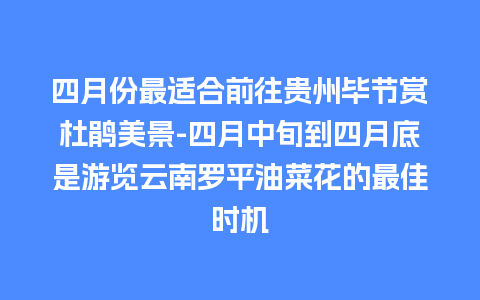 四月份最适合前往贵州毕节赏杜鹃美景-四月中旬到四月底是游览云南罗平油菜花的最佳时机