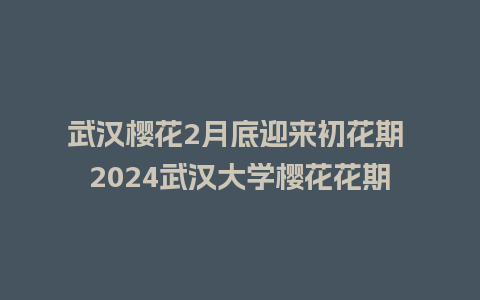 武汉樱花2月底迎来初花期 2024武汉大学樱花花期