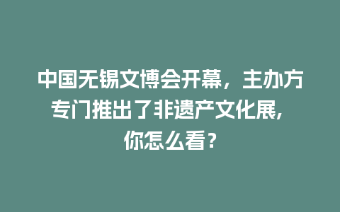 中国无锡文博会开幕，主办方专门推出了非遗产文化展, 你怎么看？