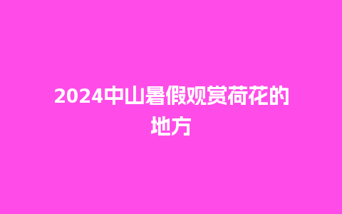 2024中山暑假观赏荷花的地方