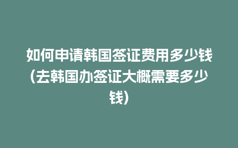 如何申请韩国签证费用多少钱(去韩国办签证大概需要多少钱)