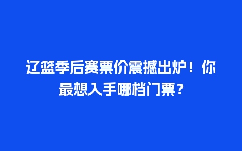 辽篮季后赛票价震撼出炉！你最想入手哪档门票？