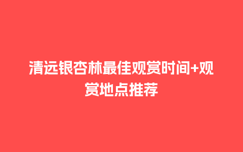 清远银杏林最佳观赏时间+观赏地点推荐