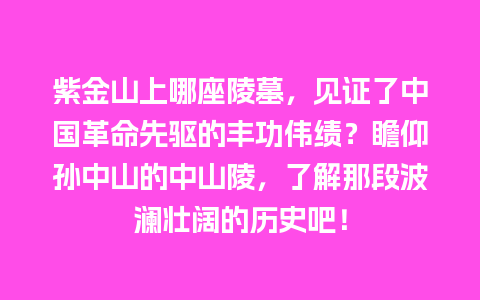 紫金山上哪座陵墓，见证了中国革命先驱的丰功伟绩？瞻仰孙中山的中山陵，了解那段波澜壮阔的历史吧！