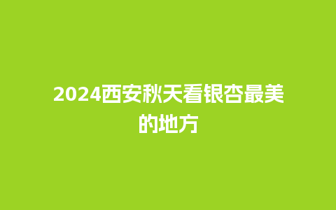 2024西安秋天看银杏最美的地方