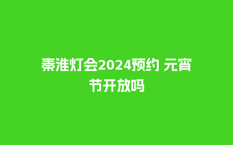 秦淮灯会2024预约 元宵节开放吗