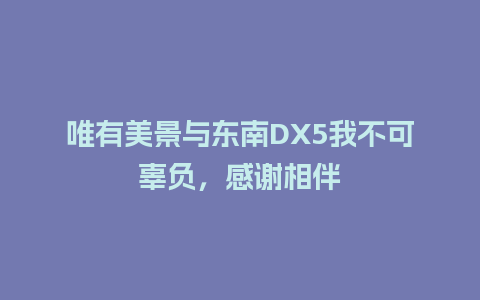 唯有美景与东南DX5我不可辜负，感谢相伴