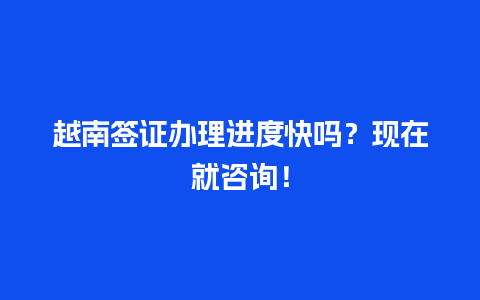 越南签证办理进度快吗？现在就咨询！