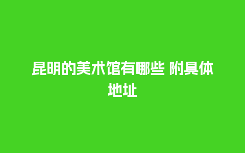 昆明的美术馆有哪些 附具体地址