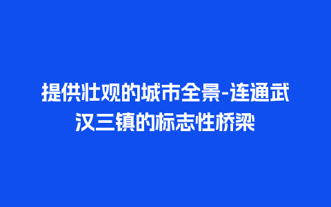 提供壮观的城市全景-连通武汉三镇的标志性桥梁