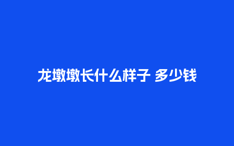 龙墩墩长什么样子 多少钱