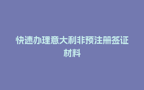 快速办理意大利非预注册签证材料