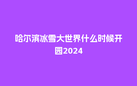 哈尔滨冰雪大世界什么时候开园2024