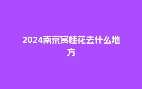 2024南京赏桂花去什么地方