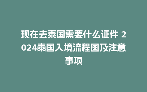 现在去泰国需要什么证件 2024泰国入境流程图及注意事项