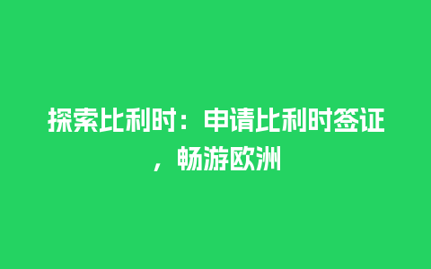 探索比利时：申请比利时签证，畅游欧洲