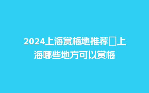 2024上海赏梅地推荐　上海哪些地方可以赏梅