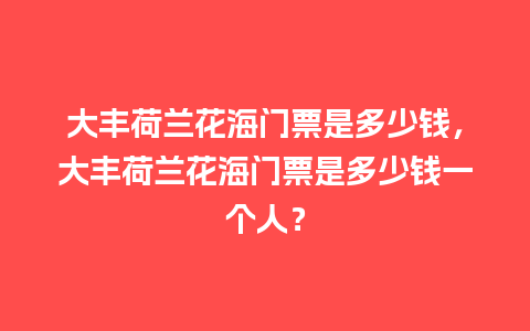 大丰荷兰花海门票是多少钱，大丰荷兰花海门票是多少钱一个人？