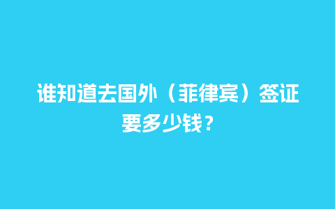 谁知道去国外（菲律宾）签证要多少钱？