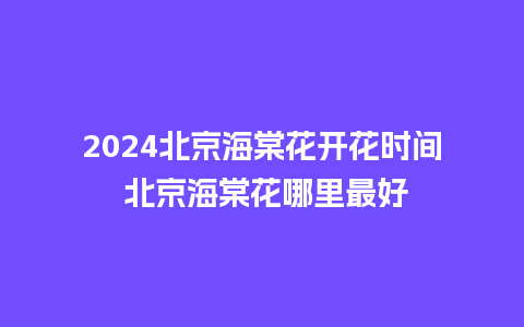 2024北京海棠花开花时间 北京海棠花哪里最好