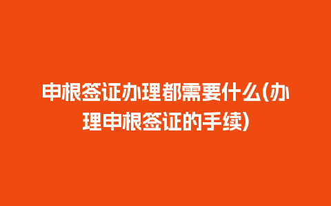 申根签证办理都需要什么(办理申根签证的手续)