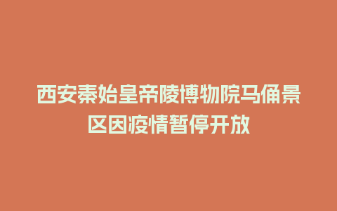 西安秦始皇帝陵博物院马俑景区因疫情暂停开放