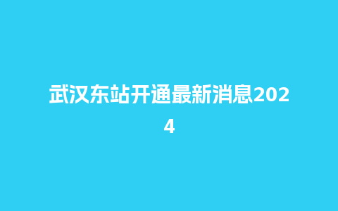 武汉东站开通最新消息2024