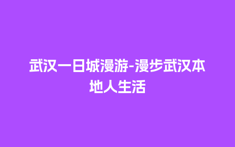 武汉一日城漫游-漫步武汉本地人生活