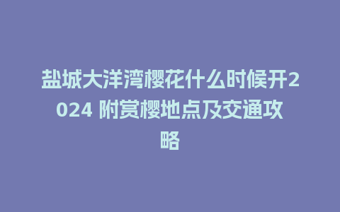 盐城大洋湾樱花什么时候开2024 附赏樱地点及交通攻略