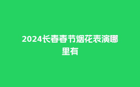 2024长春春节烟花表演哪里有